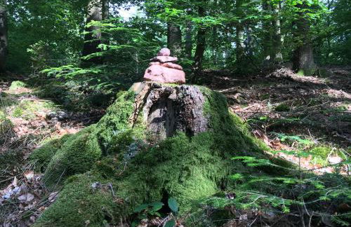 Infinity Two - Foto 26