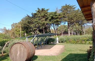 CasaFlo appartamento - Foto 22