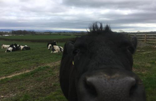 High Oak Holiday Cottage - Foto 30