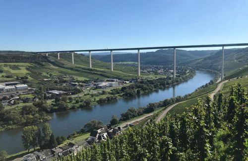 Ferienwohnungen Forneck - Foto 14