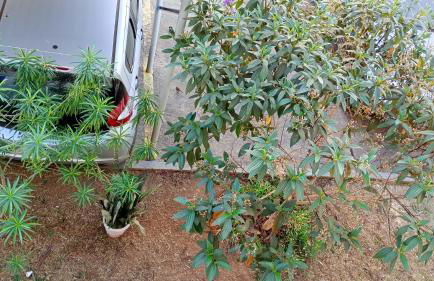 Apto Completo Aparecida de Goiânia - Foto 15