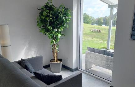 Sikory Hill - Foto 9