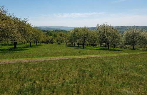 harzholiday - Foto 28