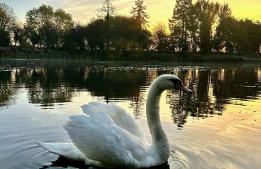 Wigeon Secluded Rustic cabin - Foto 22