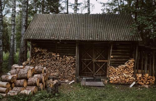 Chatka w lesie - Foto 53