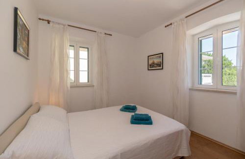 Apartments Srdanovic - Photo 19