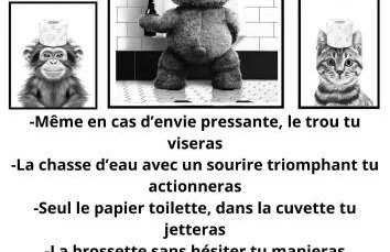 Au coin des Lilas - Studio 1 - Foto 12