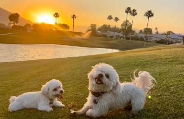 Luxe Palm Springs Villa- Sunset Oasis Private Heated Pool & Spa on Golfcourse - Foto 16