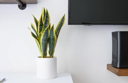 1597-3 Studio Upper East Side Apt W&D in unit - Photo 18