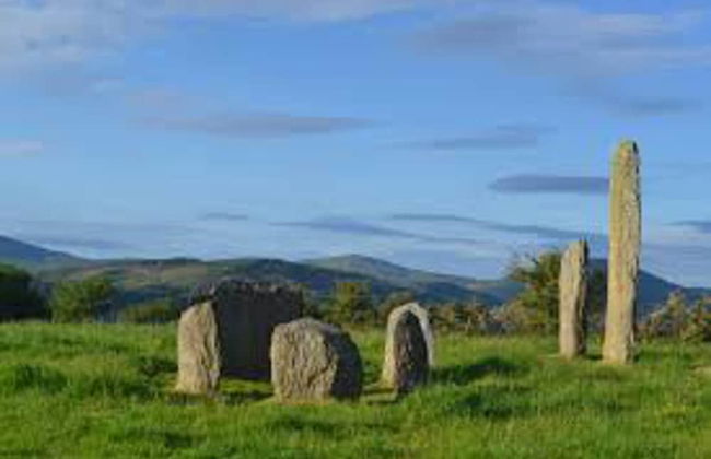 Lisheens Lodge - Foto 16