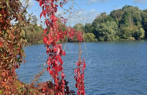 Les Seringats - Foto 7