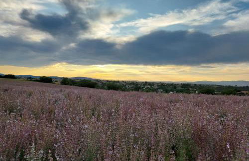 Gites Lou Limbert - Photo 23