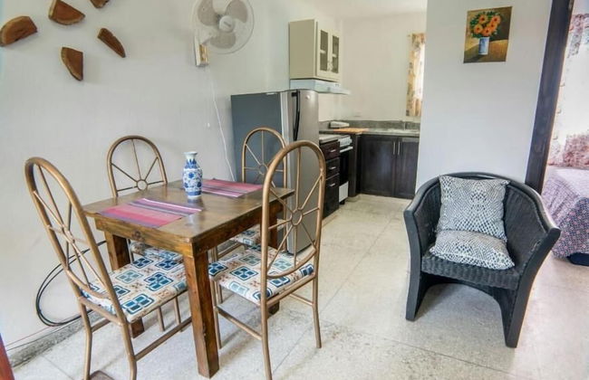 Apartamentos Magallanes Romana - Foto 23