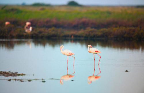 Villa Aurora - Foto 33