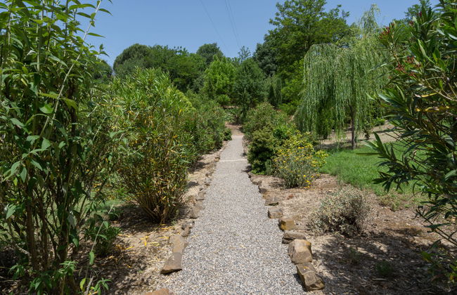 Villa Lavinia - Foto 38