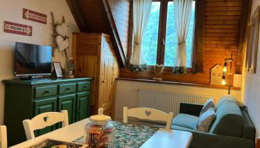 Mandi Mandi in pista - Foto 4