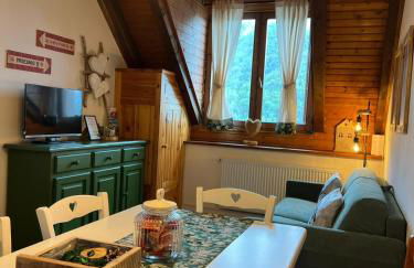 Mandi Mandi in pista - Foto 4