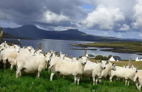 Ornum Self Catering Cottage - Foto 12