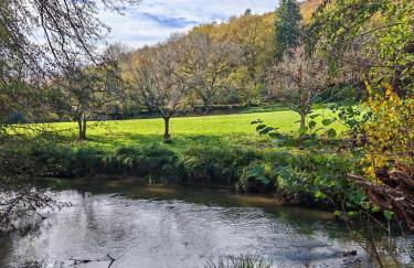Les Girouteaux La bergerie - Photo 31