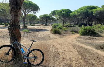 Casa Palmera - Foto 22