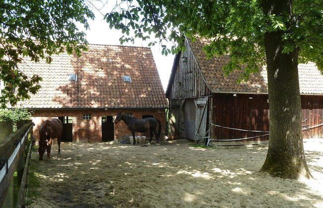 Ferienwohnung im Ferienhof, Dorfmark - Foto 28