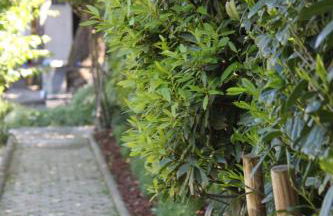 Casa dos meus avós -Villas - Gaia & Porto - Foto 39