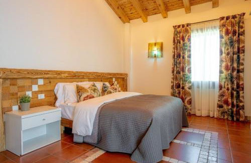 GATTO IN VIGNA - Foto 15