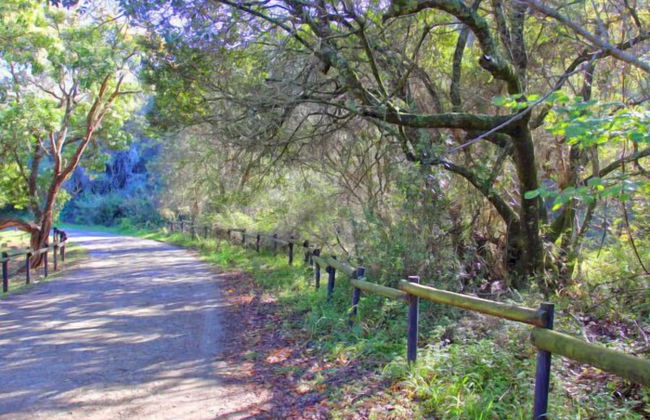 Alkantmooi Private Nature Reserve Keursee Units - Photo 62