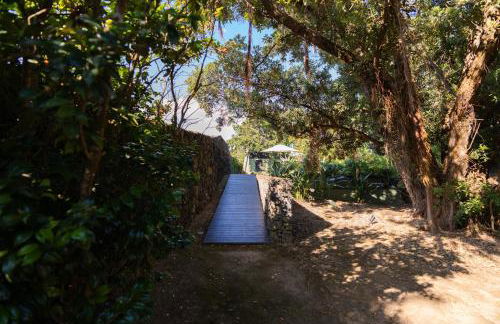 Caloura Suite - Photo 38