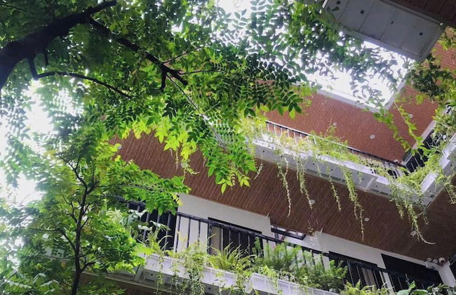 The Eudora Homestay - Photo 59