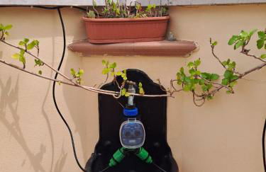 Sa Domu Bibussi - Foto 7