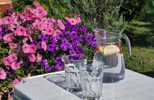 Gęsia Sielanka - Foto 29