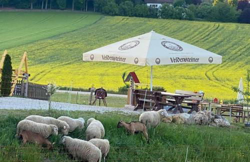 Wunderwelt Betzenstein familiär-ländlich-modern - Foto 32