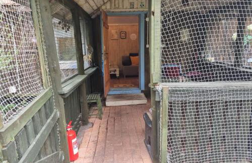 Dom Pod Brzozami Lipinki Bory Tucholskie basen - psy, koty mile widziane! - Photo 10