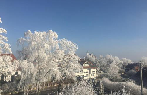 Klosterberghaus - Kontaktloser Check-in - Foto 42