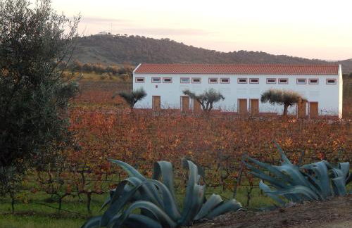 Quinta das Ratoeiras - Foto 6