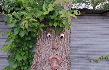 B&B Le Scintille - Foto 60