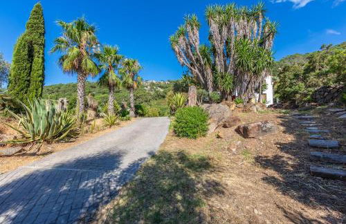 Sunny Bird House Bolonia - Foto 80