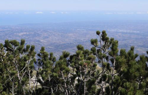 Lupus Domum - Foto 4
