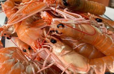 Blar na Leisg, Self catering Lodge 2. - Foto 13