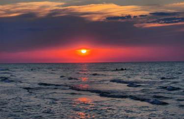 L'Orto di MiLa - Foto 34