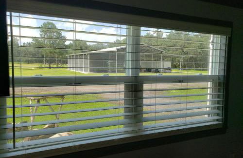 The Sunflower Studio Cottage - Foto 13