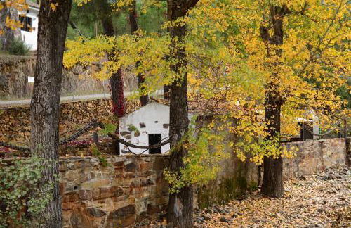 Ramajal Rural - Foto 23