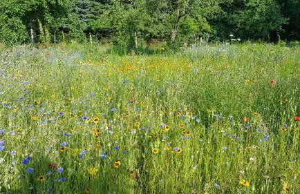 StorchenHof - Foto 38