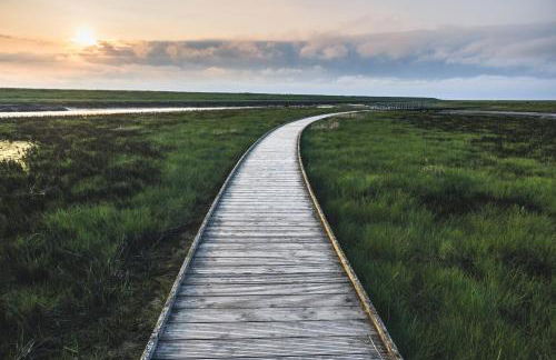 KüstenPerle - Penthousewohnung mit 2 Schlafzimmern und Sauna - Foto 23