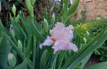 Villa in Agello - Photo 45