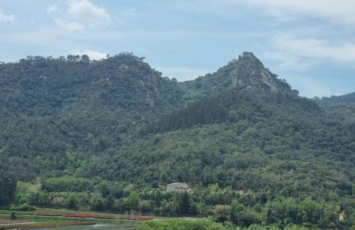 Ca la Pauleta - Foto 72