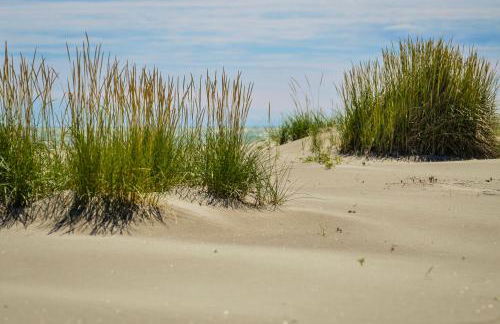 Il Piccolo Albero - Foto 34