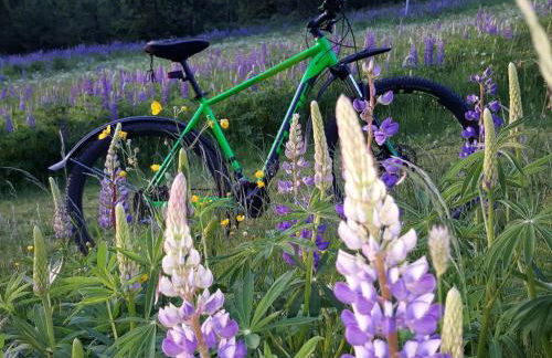 Ferienhaus Am Kirchberg - Foto 36