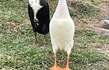 Knut's Nest - Foto 24